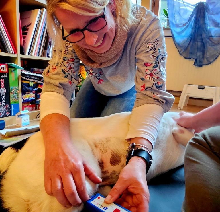 Laserakupunktur -Tierheilpraxis akupunktierchen - Juliane Merkler Hier sieht man die Heilpraktikerin Juliane Merkler, wie sie einem Hund mit dem Soflaser eine Akupunkturanwendung gibt.